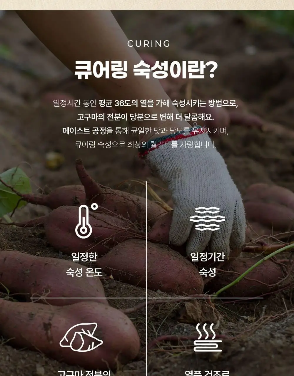 착한상점 촉촉한 군고구마 말랭이 60g 상세페이지 6