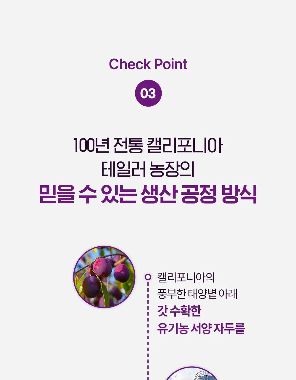 테일러 유기농 건자두 30g 상세페이지 16