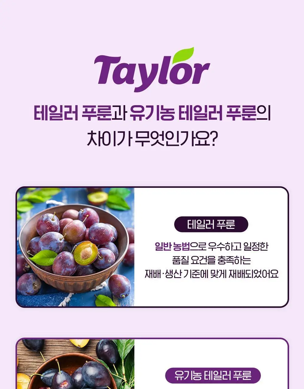 테일러 유기농 건자두 30g 상세페이지 21