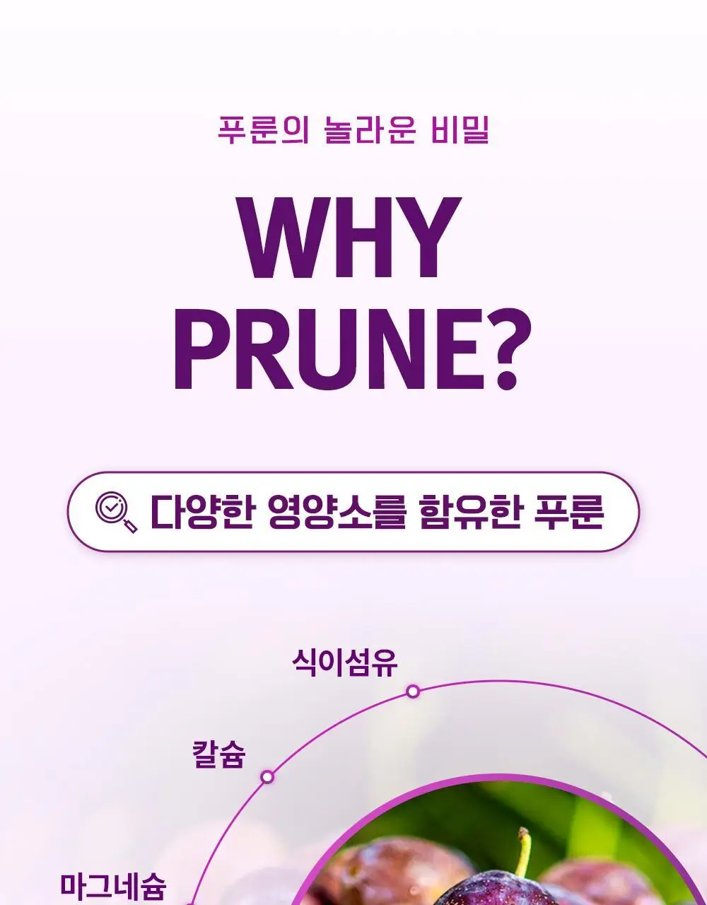 테일러 유기농 건자두 30g 상세페이지 23