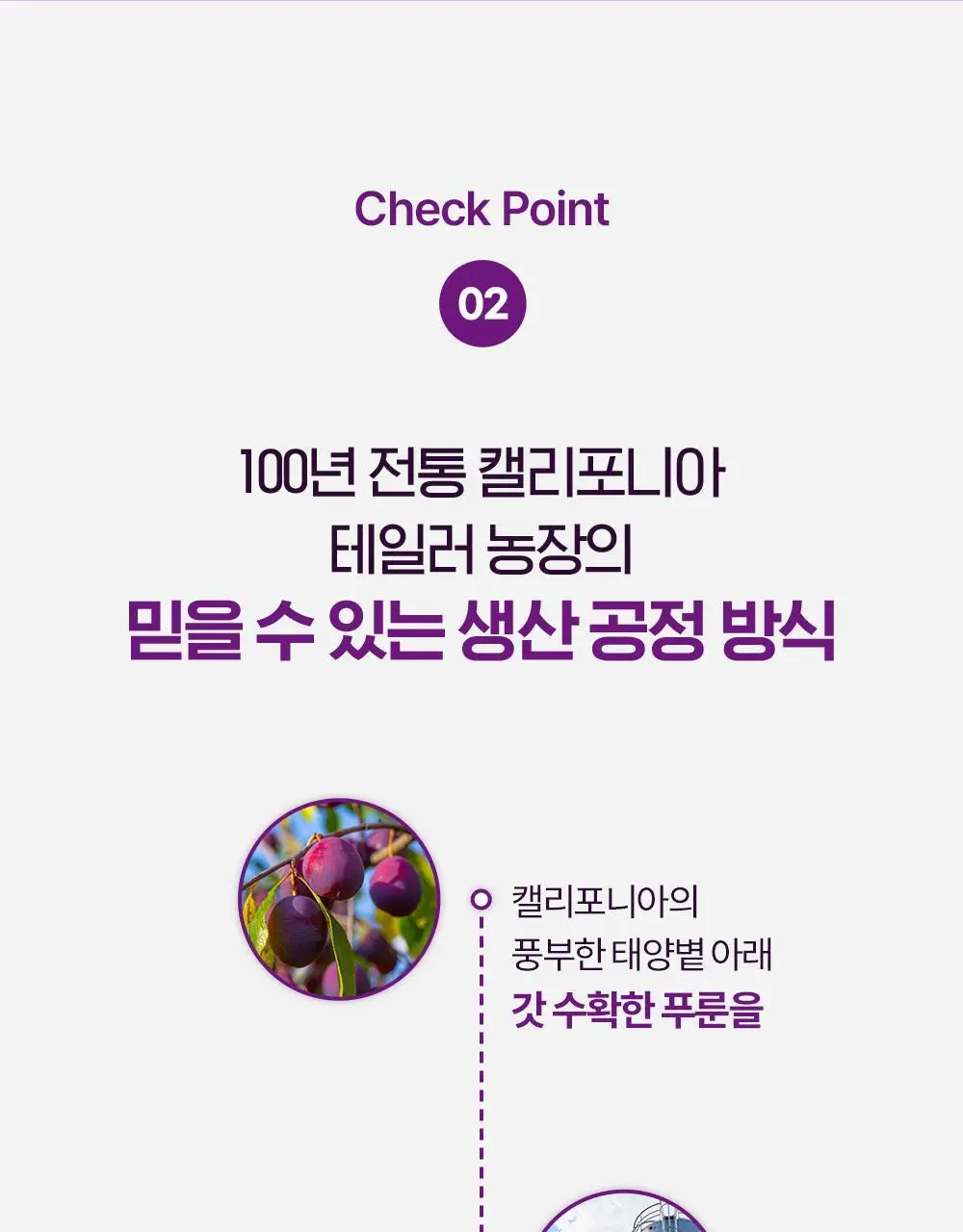 테일러 푸룬 250g 상세페이지 13