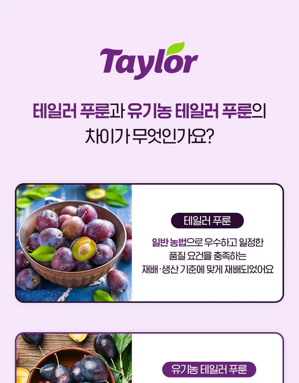 테일러 푸룬 250g 상세페이지 18