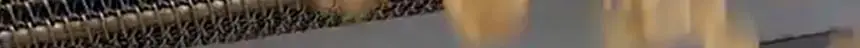 마이노멀 제로칩 어니언 55g 5개입 상세페이지 20