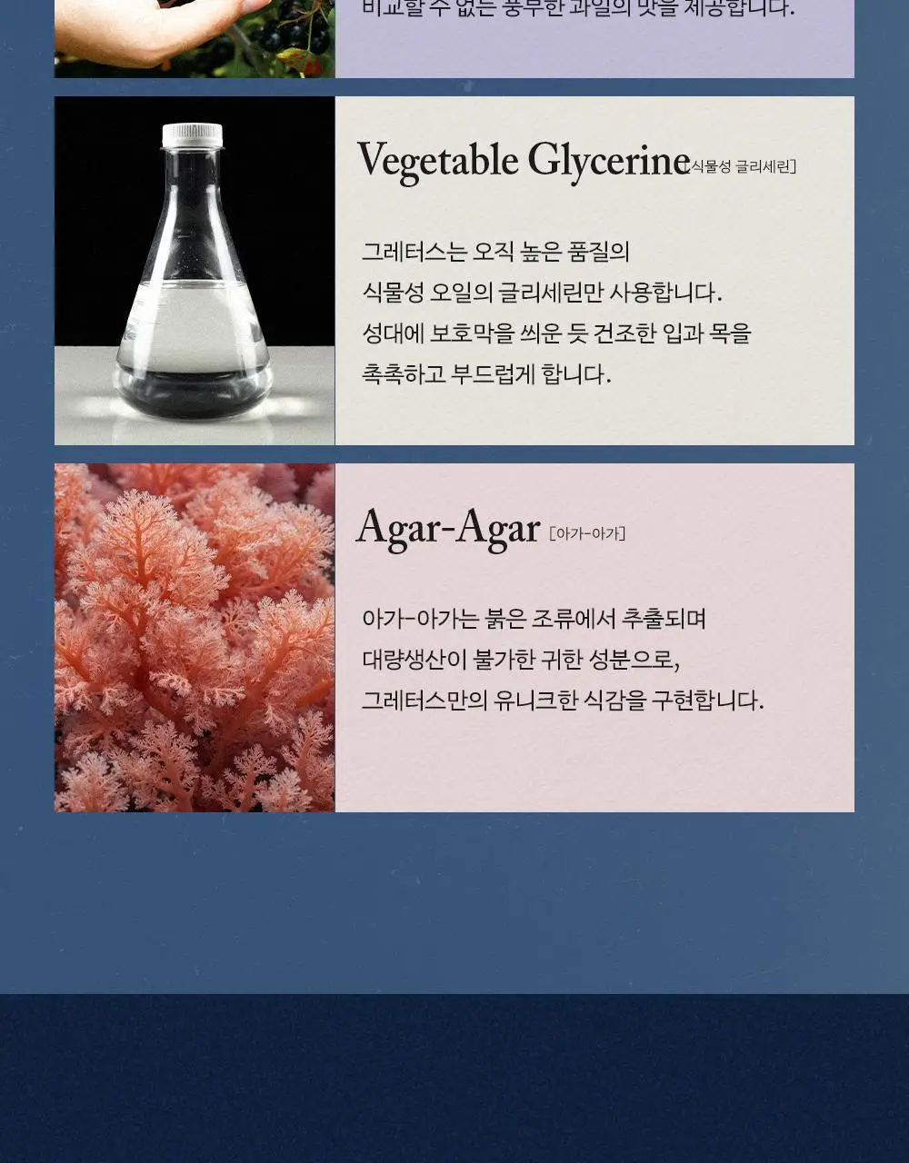 그레터스 파스티유 블랙커런트 클래식 110g 상세페이지 12