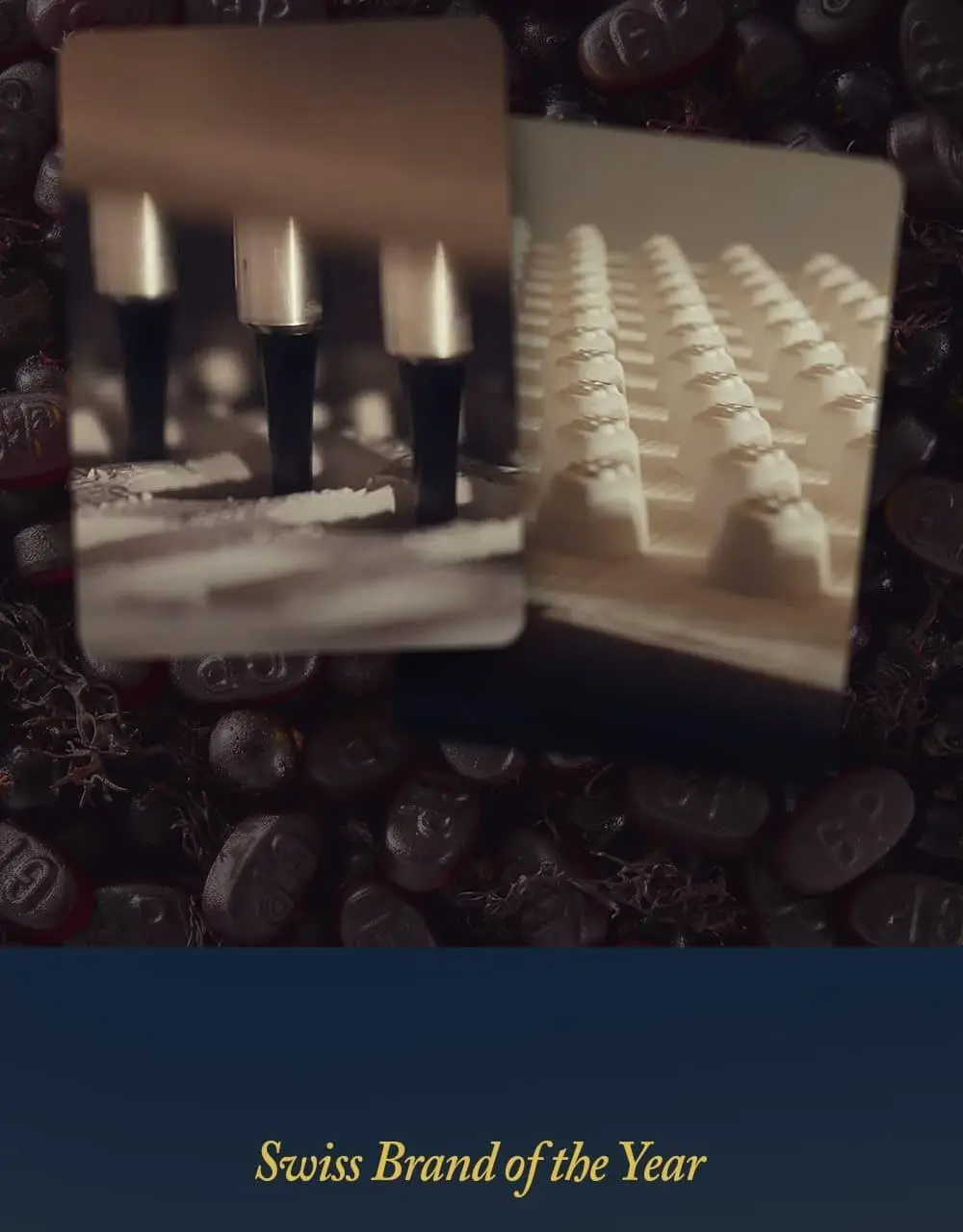 그레터스 파스티유 블랙커런트 110g 2종 택1(클래식/슈가프리) 상세페이지 7