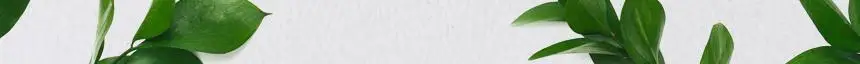 나무인터내셔널 꿀도라지 프로폴리스 캔디 40개입 상세페이지 9
