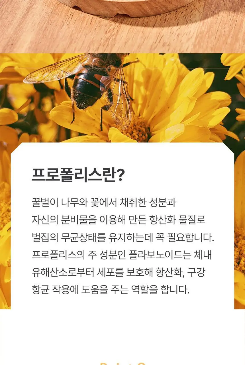 뉴트라라이프 프로폴리스 캔디 지관형 35개입 상세페이지 6