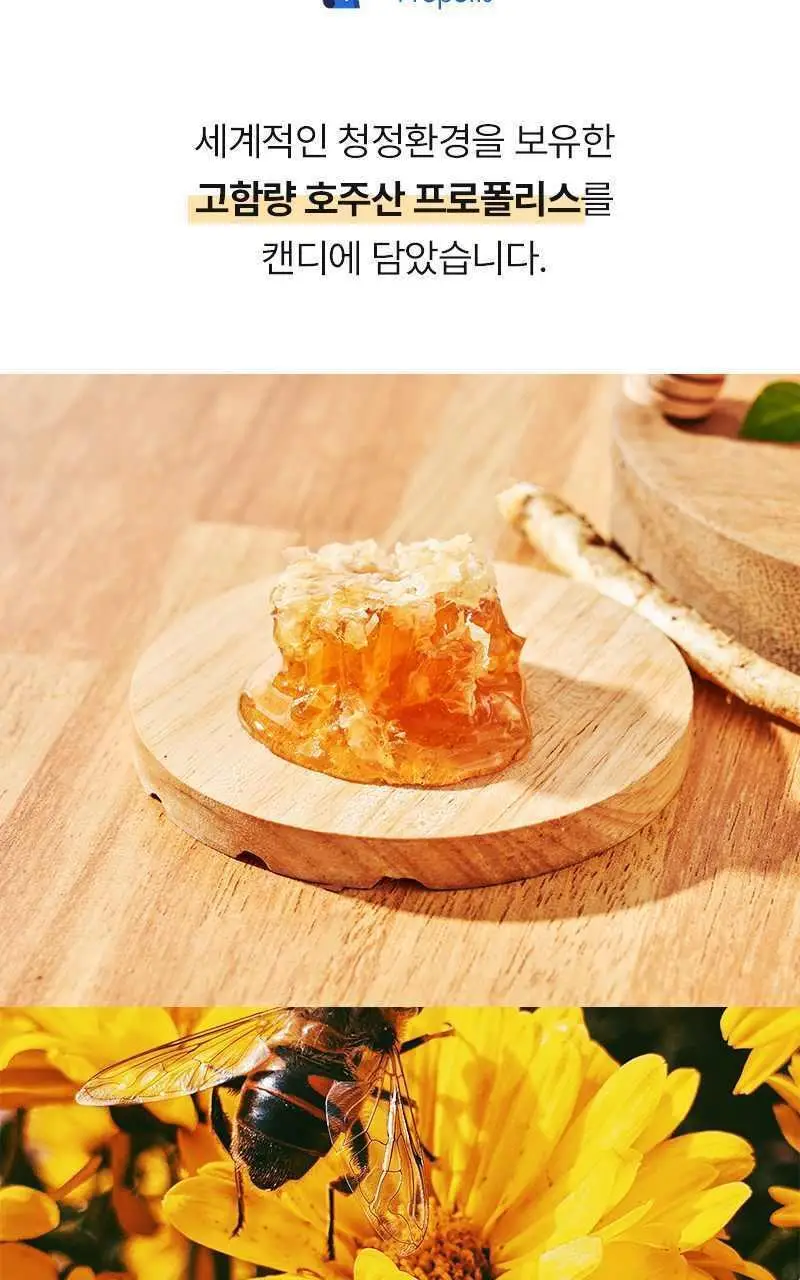 뉴트라라이프 프로폴리스 홍삼캔디 4.5g 30개입 상세페이지 5