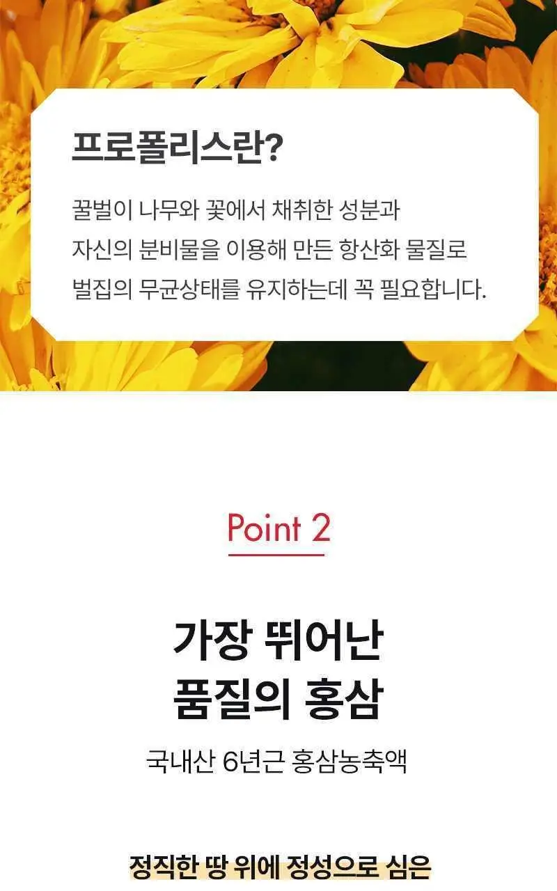뉴트라라이프 프로폴리스 홍삼캔디 4.5g 30개입 상세페이지 6