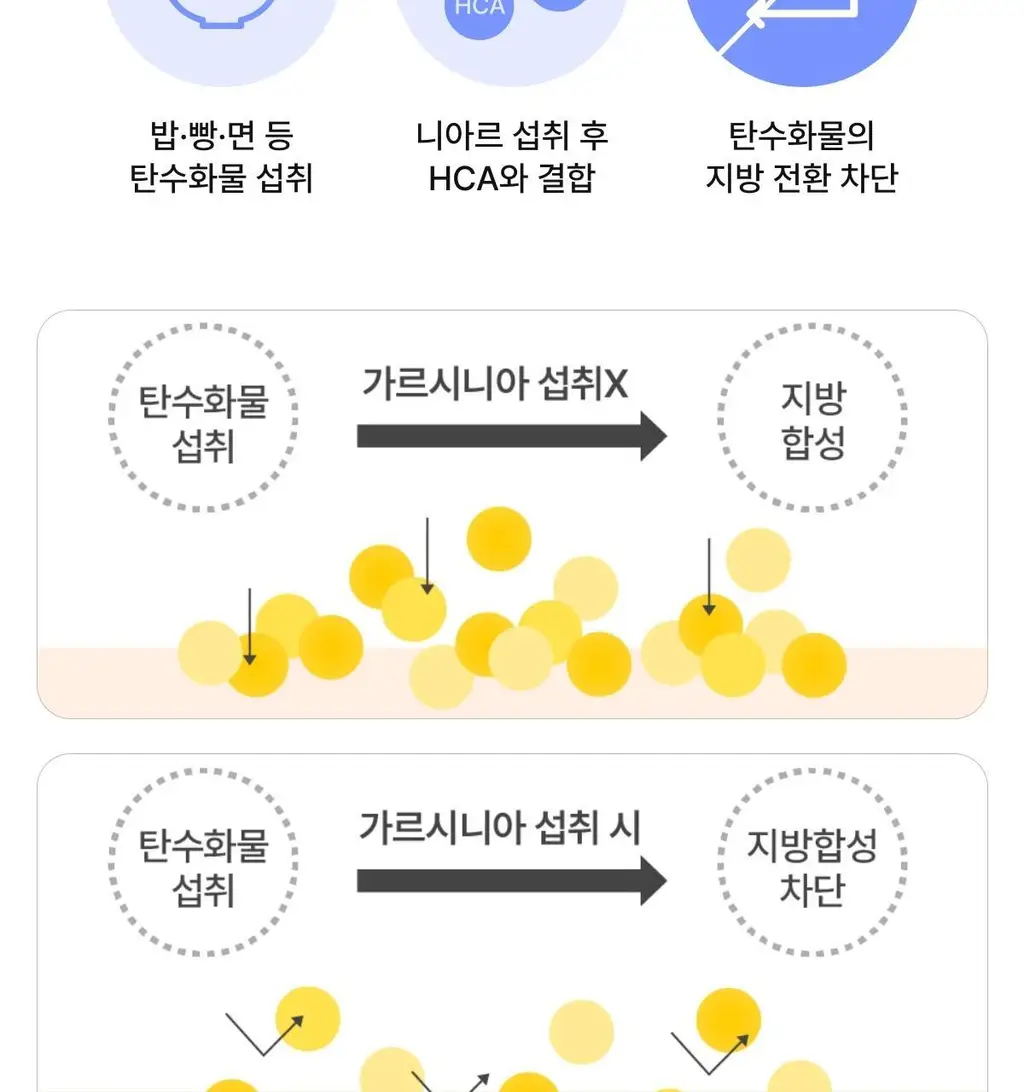 니아르 가르시니아 복숭아맛 28정 (14일분) 상세페이지 22