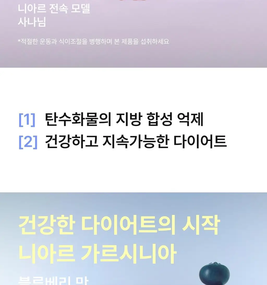 니아르 가르시니아 블루베리맛 28정 (14일분) 상세페이지 5