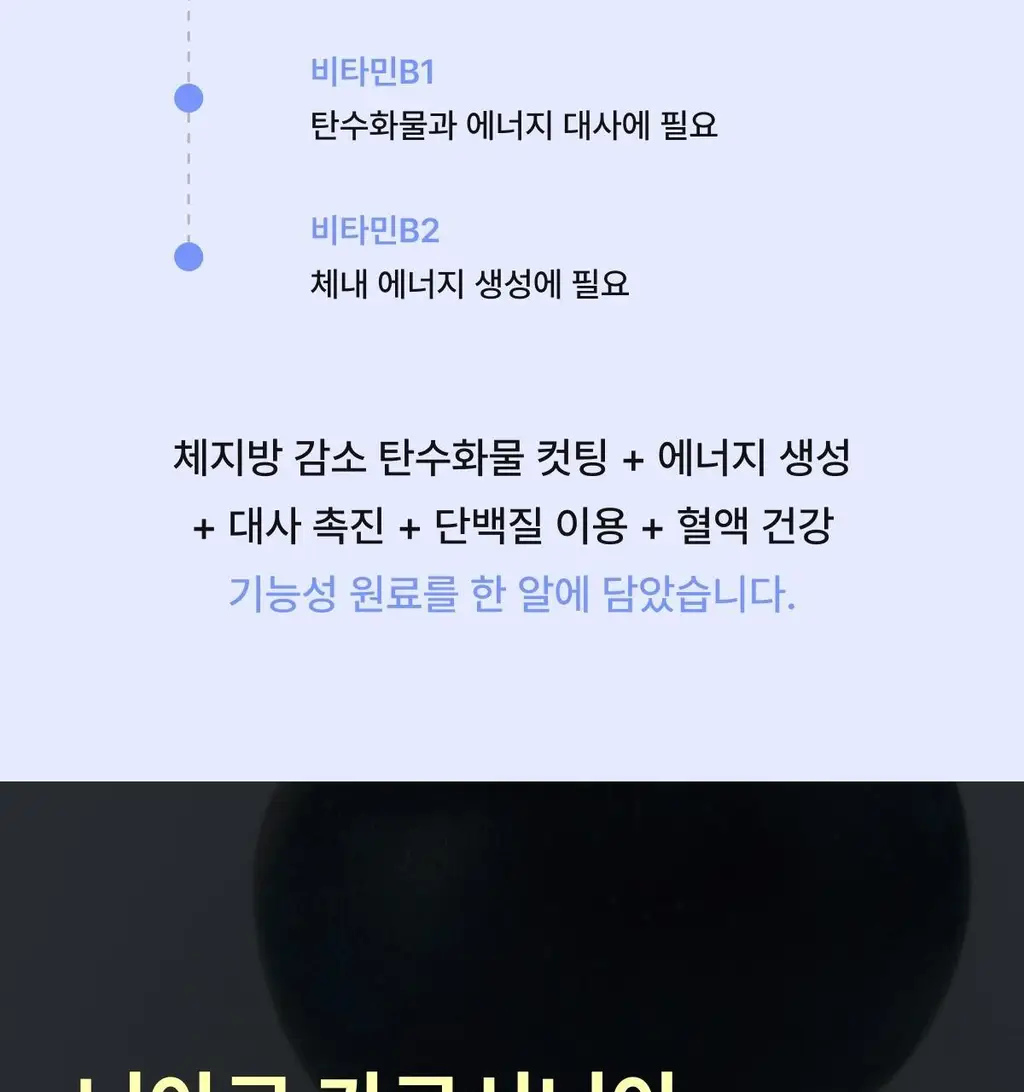 니아르 가르시니아 블루베리맛 28정 (14일분) 상세페이지 15
