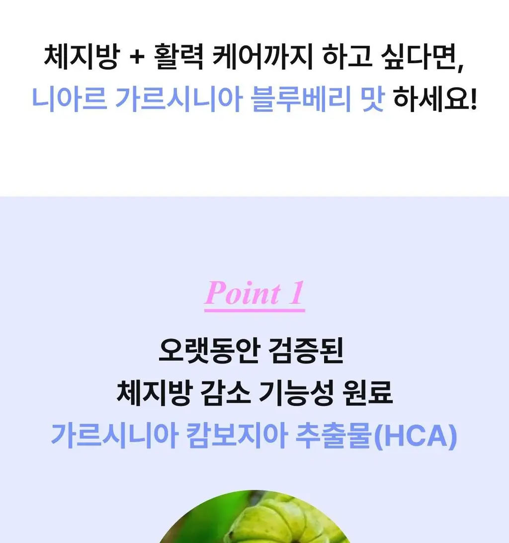 니아르 가르시니아 블루베리맛 28정 (14일분) 상세페이지 17