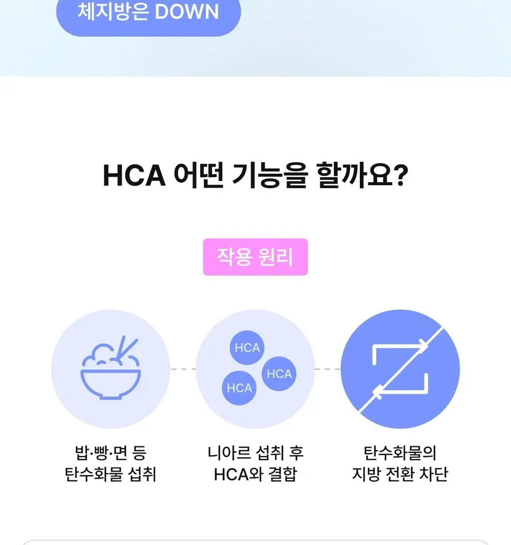 니아르 가르시니아 블루베리맛 28정 (14일분) 상세페이지 20