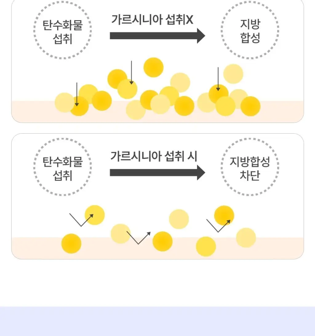 니아르 가르시니아 블루베리맛 28정 (14일분) 상세페이지 21