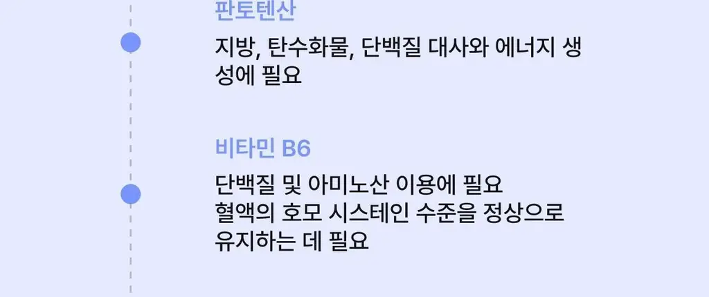니아르 가르시니아 14정 (7일분) 2종 (감귤맛/샤인머스캣맛) 상세페이지 18