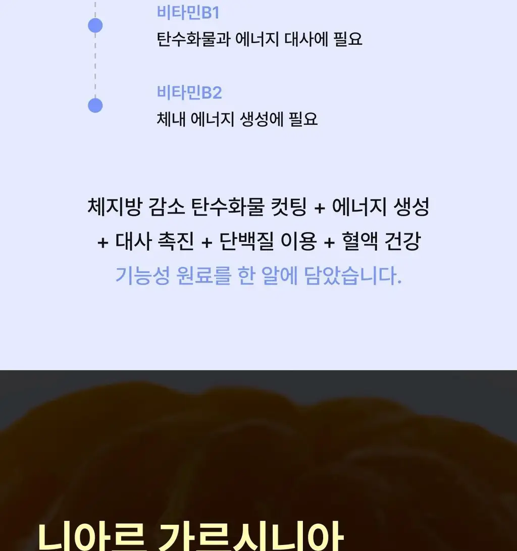 니아르 가르시니아 14정 (7일분) 2종 (감귤맛/샤인머스캣맛) 상세페이지 19