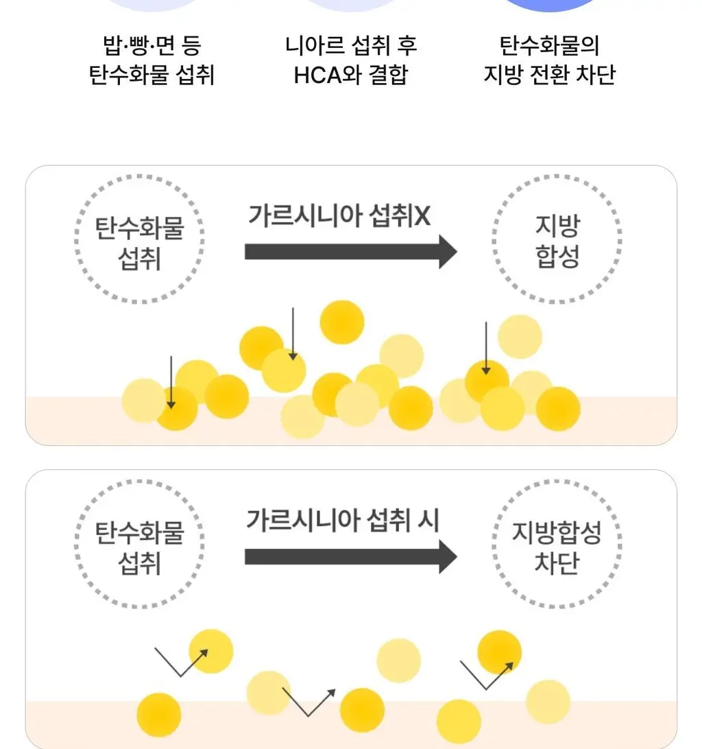 니아르 가르시니아 14정 (7일분) 2종 (감귤맛/샤인머스캣맛) 상세페이지 25