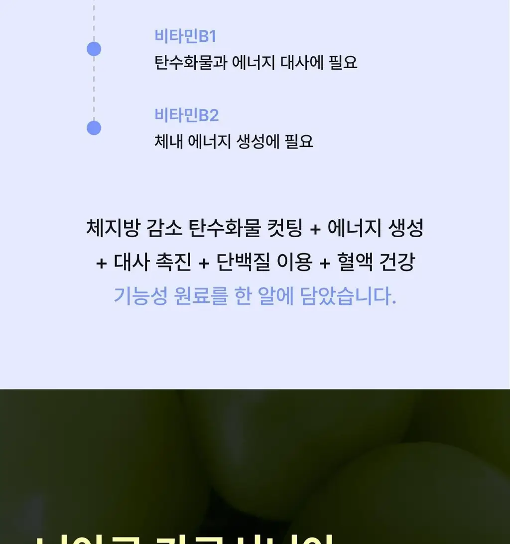 니아르 가르시니아 28정 (14일분) 2종 (감귤맛/샤인머스캣맛) 상세페이지 65