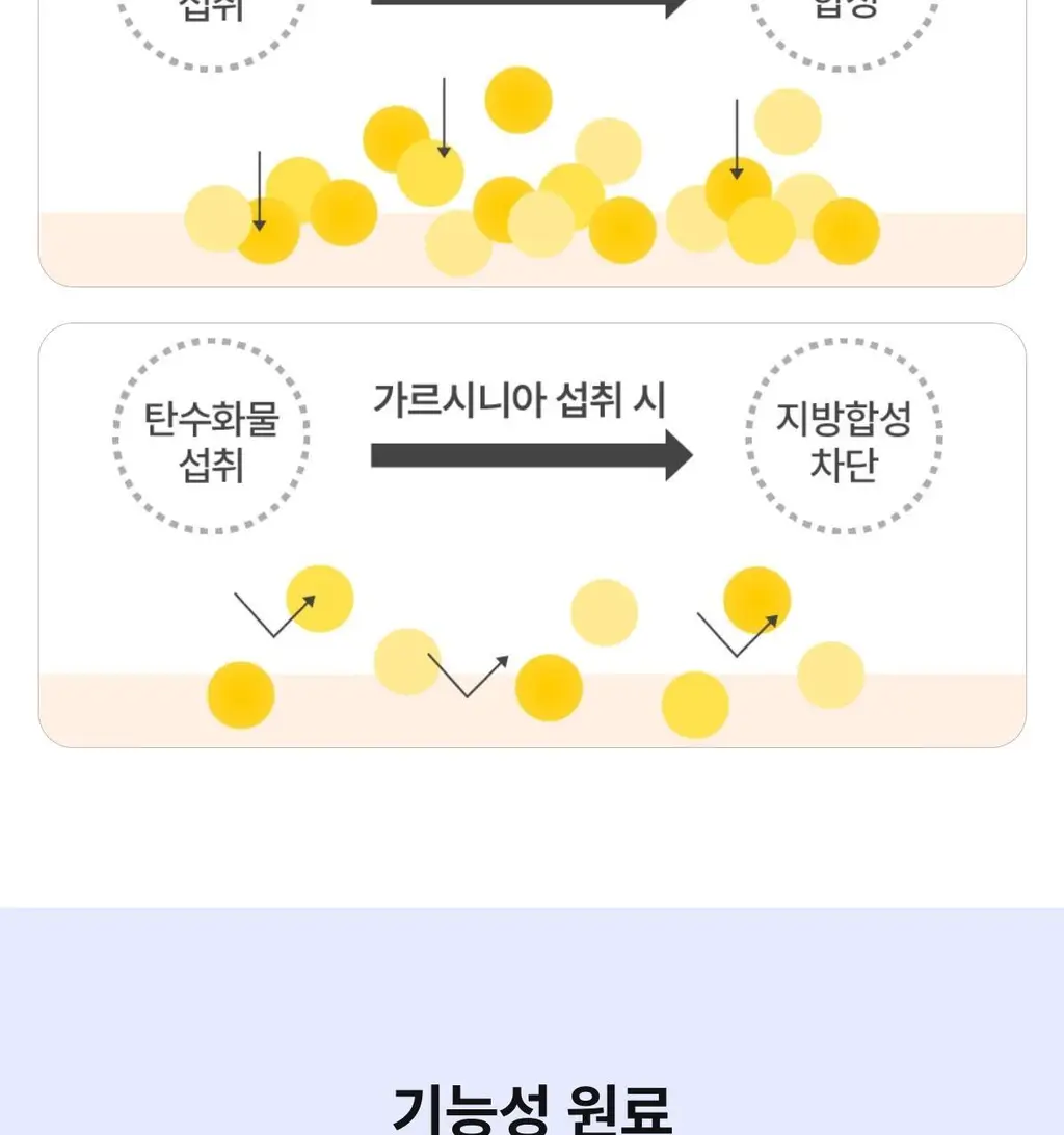 니아르 가르시니아 28정 (14일분) 2종 (감귤맛/샤인머스캣맛) 상세페이지 71