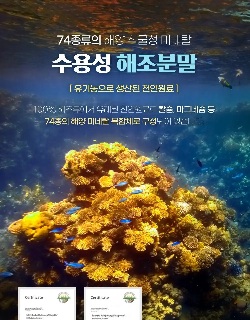 닥터뉴지온 사탕 100g 미네랄소금 상세페이지 13