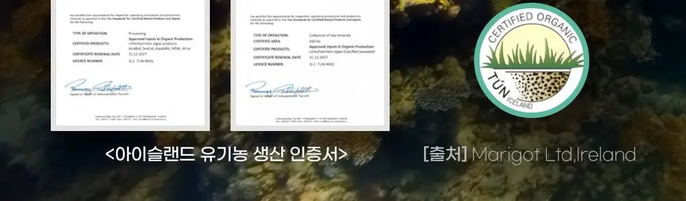 닥터뉴지온 사탕 100g 미네랄소금 상세페이지 14