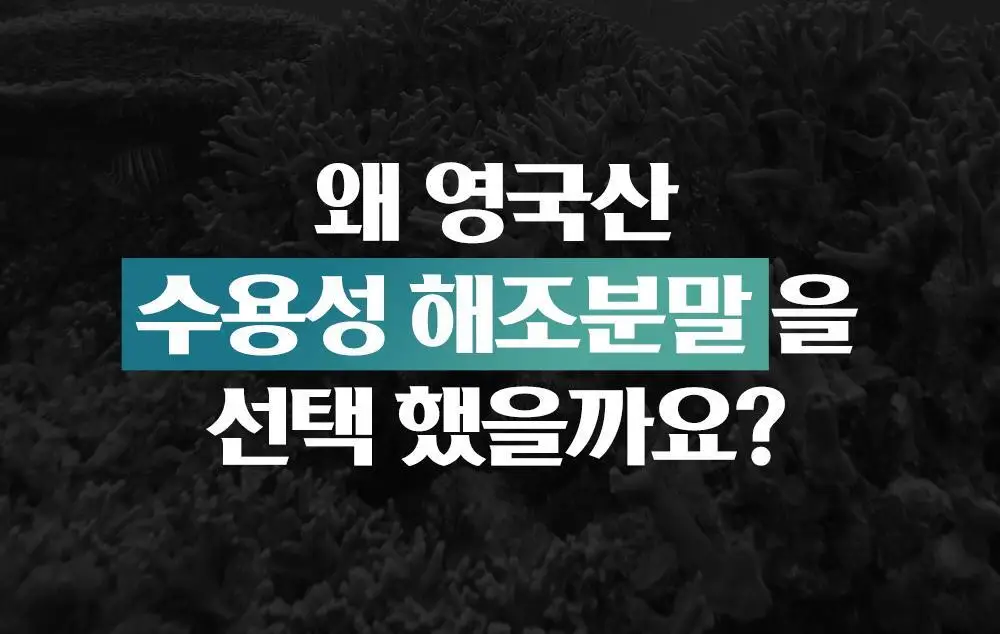 닥터뉴지온 사탕 100g 미네랄소금 상세페이지 15