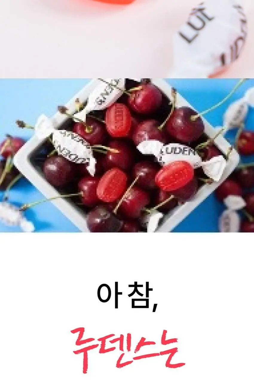 루덴스 캔디 90g 와일드체리향 상세페이지 23