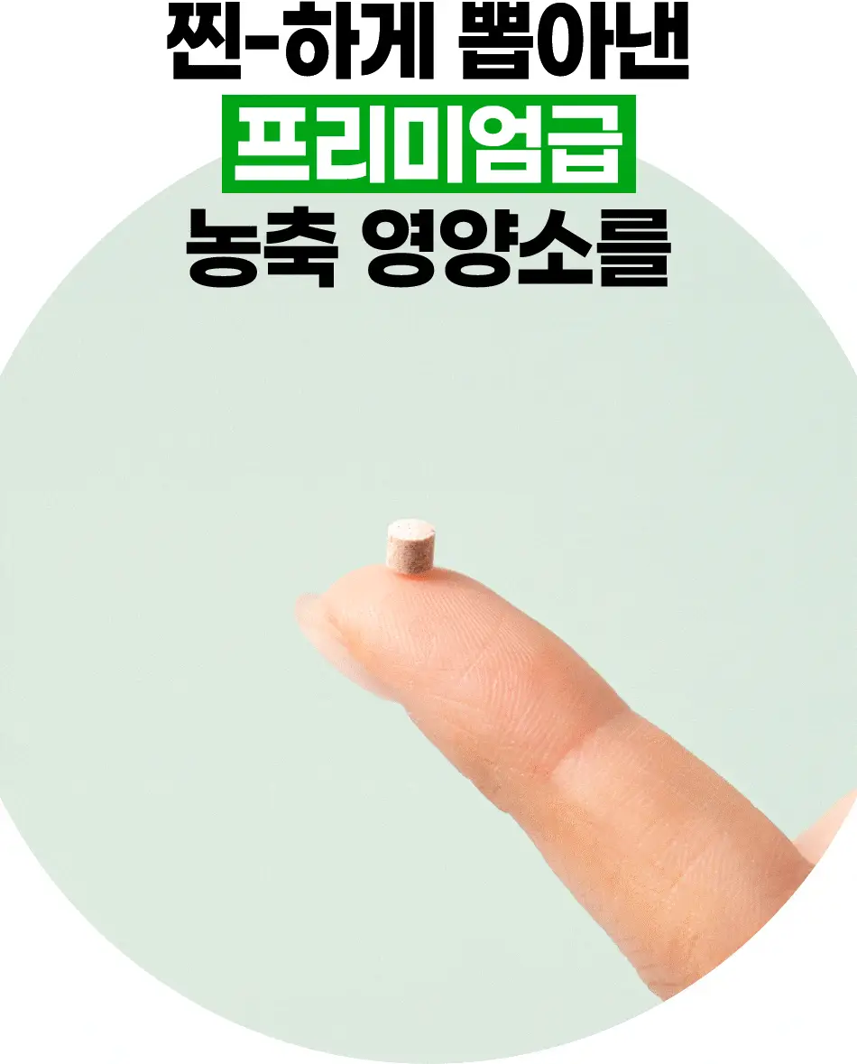 루트인 샐러드 크런치 10개입 상세페이지 53