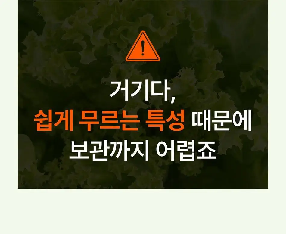 루트인 샐러드 크런치 2종 택 1 상세페이지 59