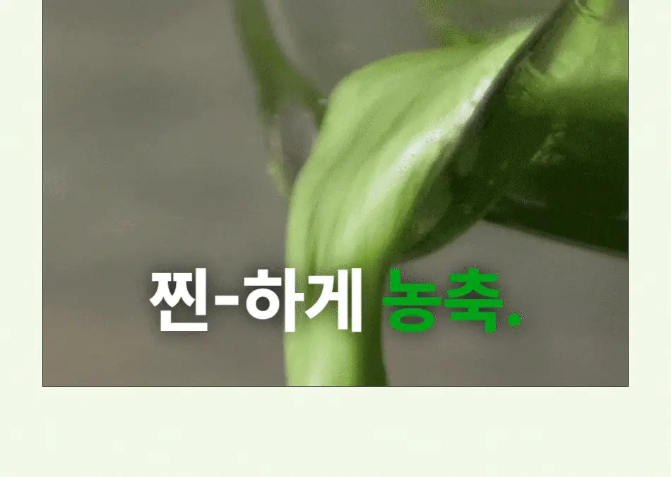 루트인 샐러드 크런치 20개입 상세페이지 89