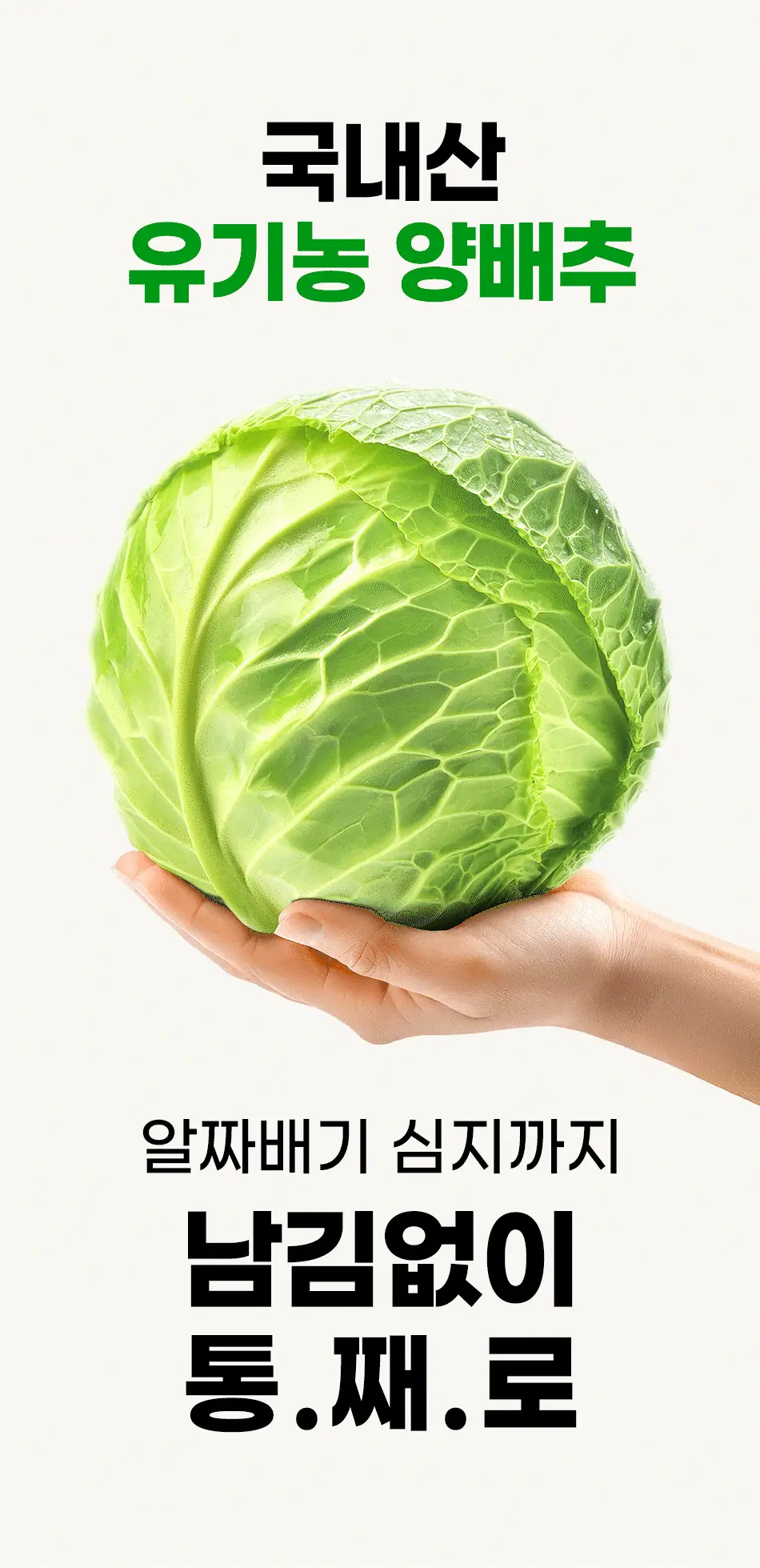 루트인 양배추 크런치 30개입 상세페이지 40