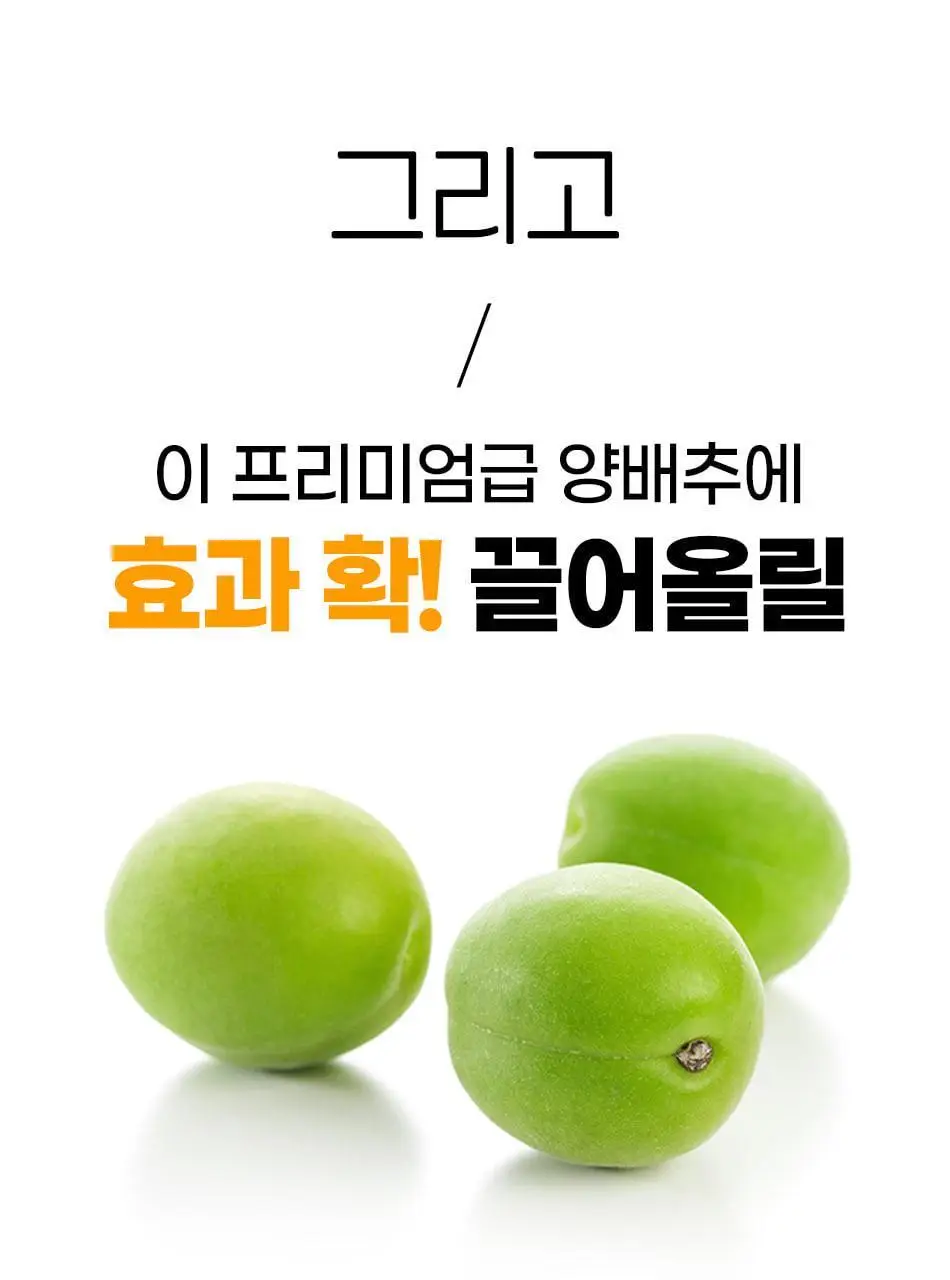 루트인 양배추 크런치 30개입 상세페이지 45