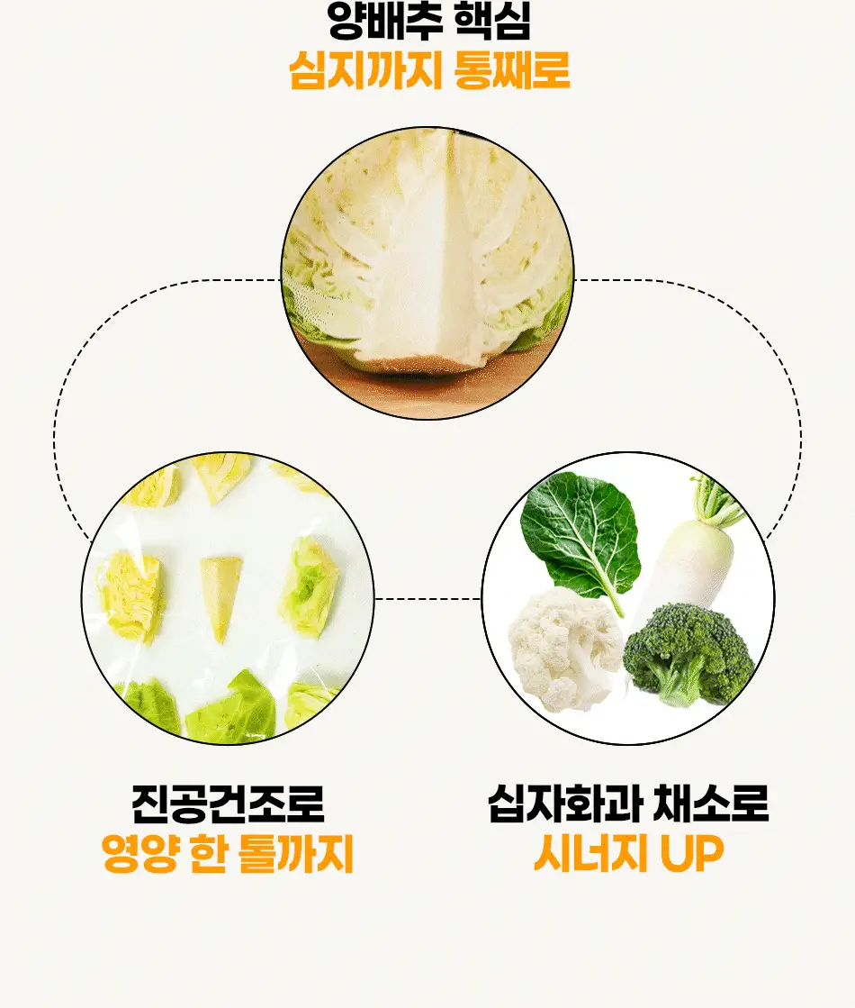 루트인 양배추 크런치 30개입 상세페이지 68