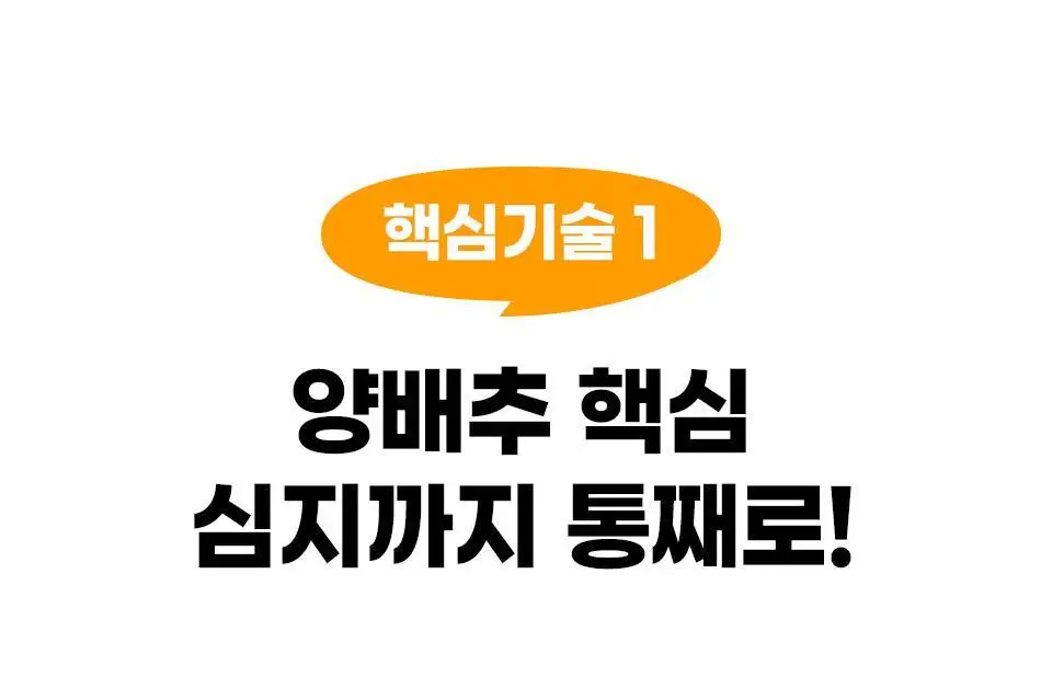 루트인 양배추 크런치 30개입 상세페이지 69