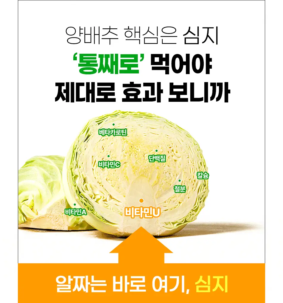 루트인 양배추 크런치 30개입 상세페이지 70