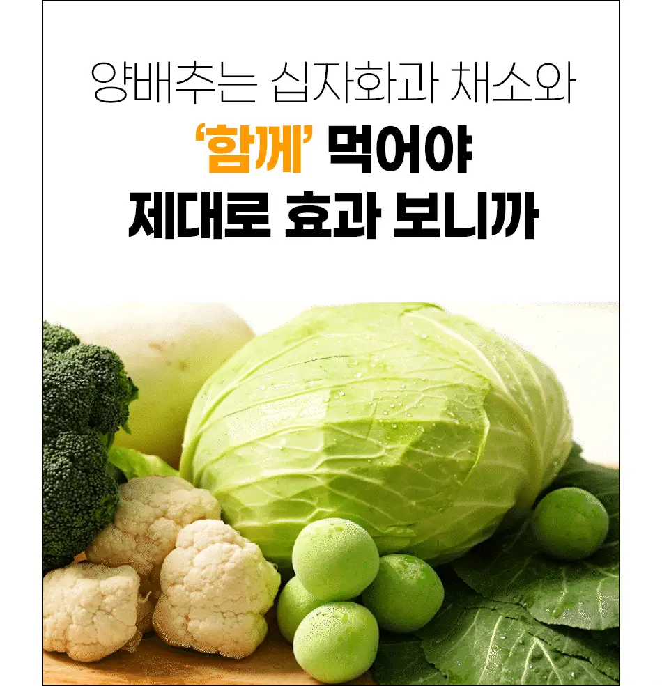 루트인 양배추 크런치 30개입 상세페이지 80