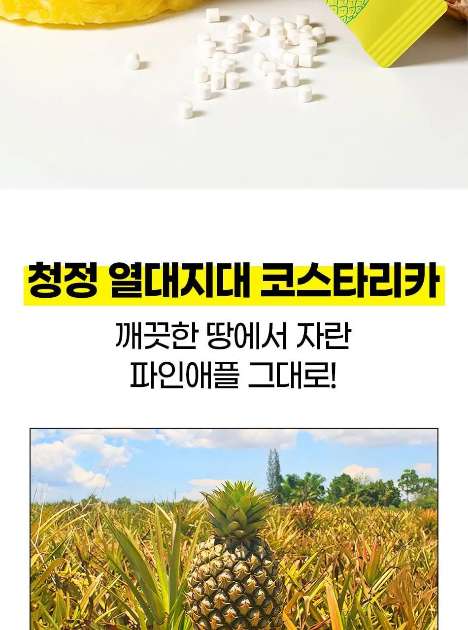 루트인 파인애플사이다비니거 크런치 20개입 상세페이지 81