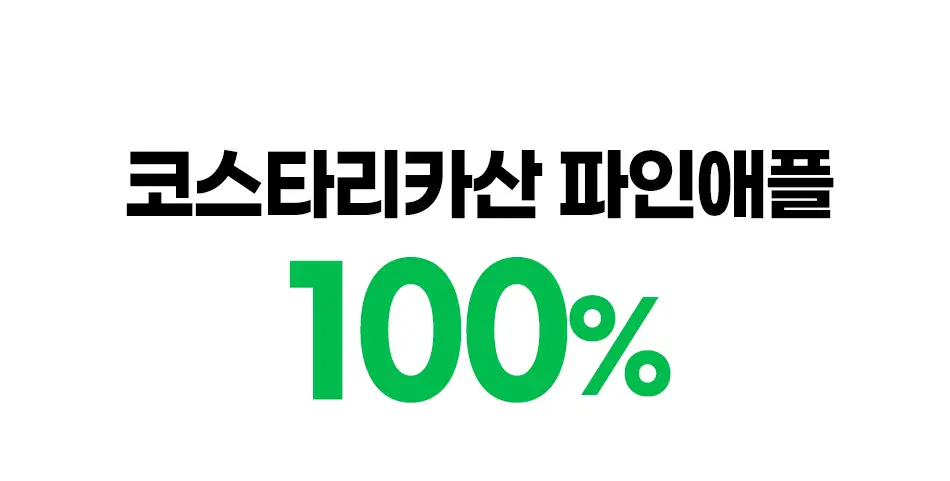 루트인 파인애플사이다비니거 크런치 20개입 상세페이지 85