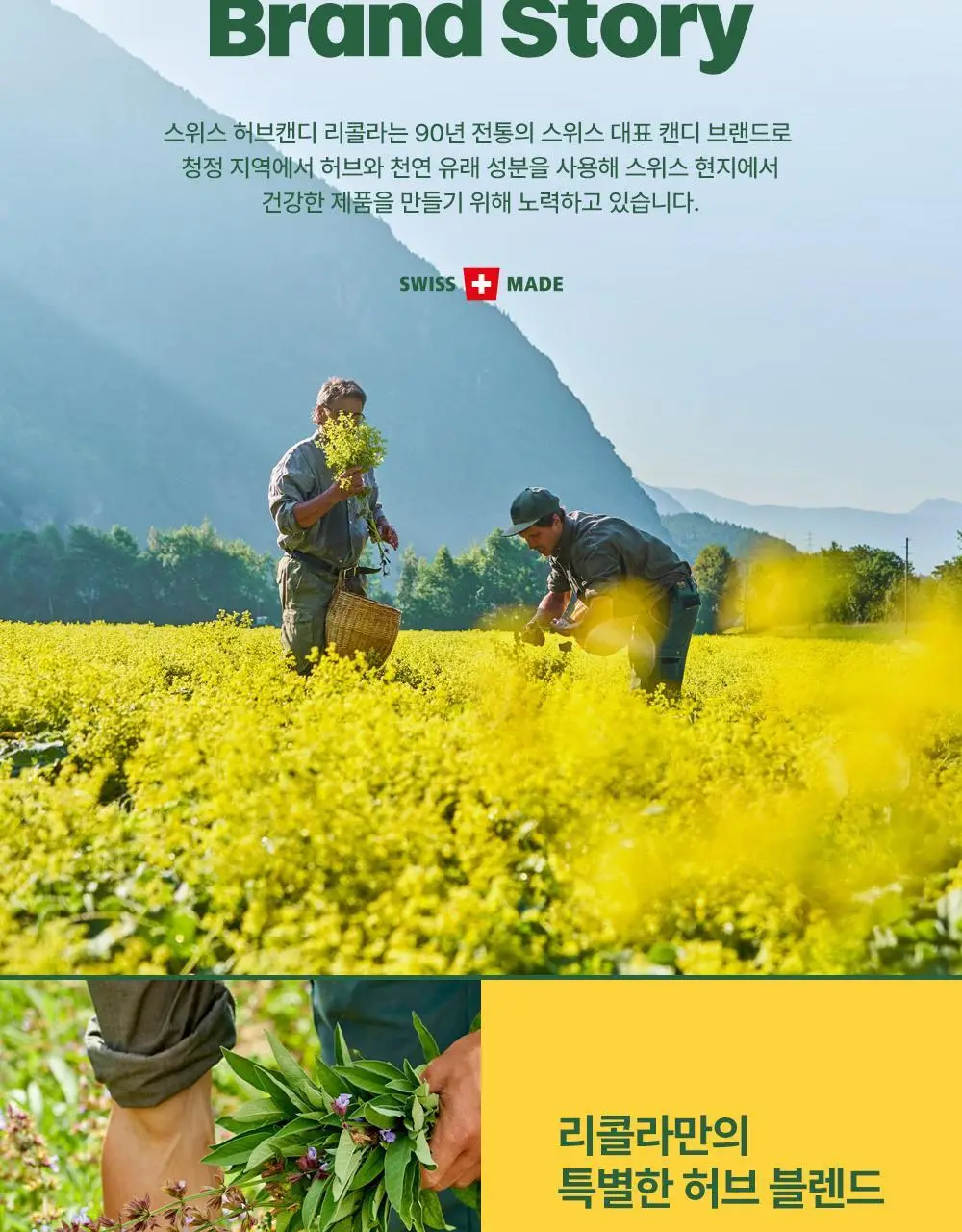 리콜라 레몬민트 70g 상세페이지 4
