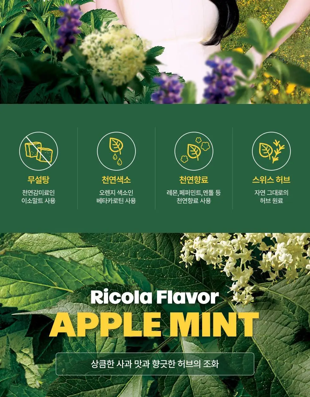 리콜라 애플민트 40g 상세페이지 3