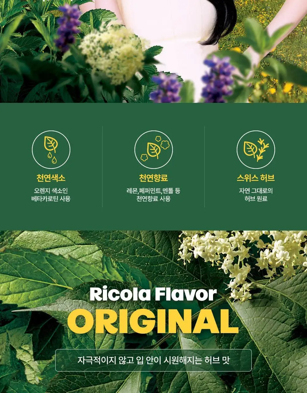 리콜라 오리지널허브 70g 상세페이지 2