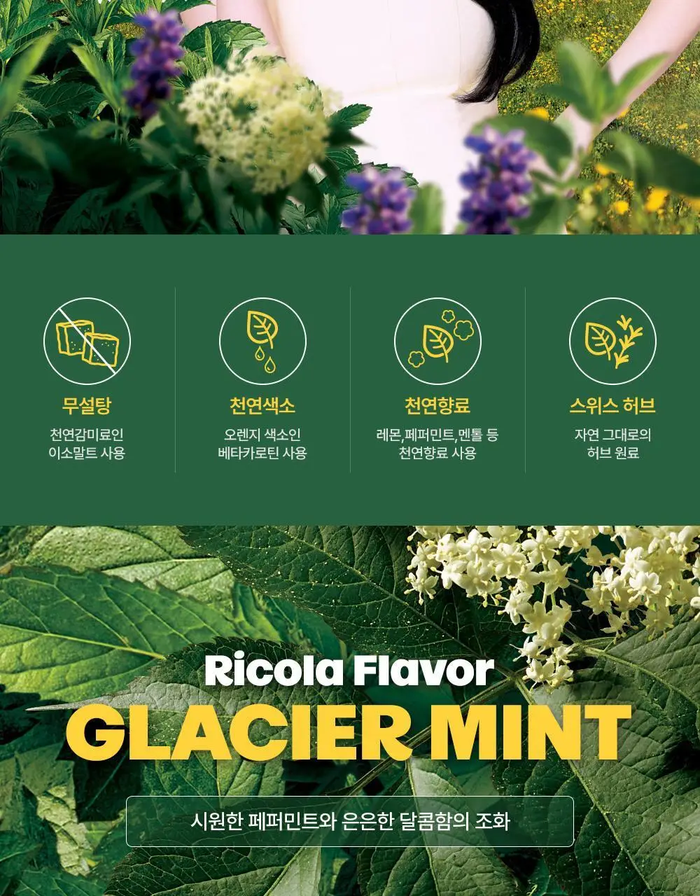 리콜라 40g 4종 택1 (라즈베리민트/레몬민트/크랜베리/글라시어민트) 상세페이지 12