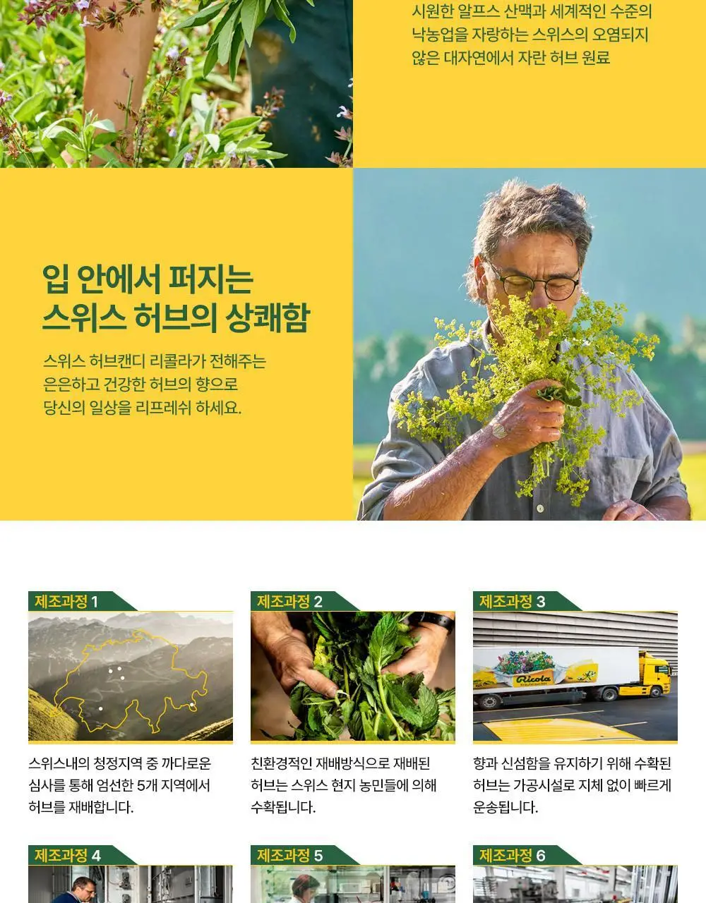 리콜라 40g 4종 택1 (라즈베리민트/레몬민트/크랜베리/글라시어민트) 상세페이지 35