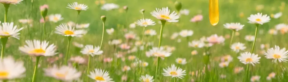 몽스 캔디 7종 골라담기 상세페이지 52