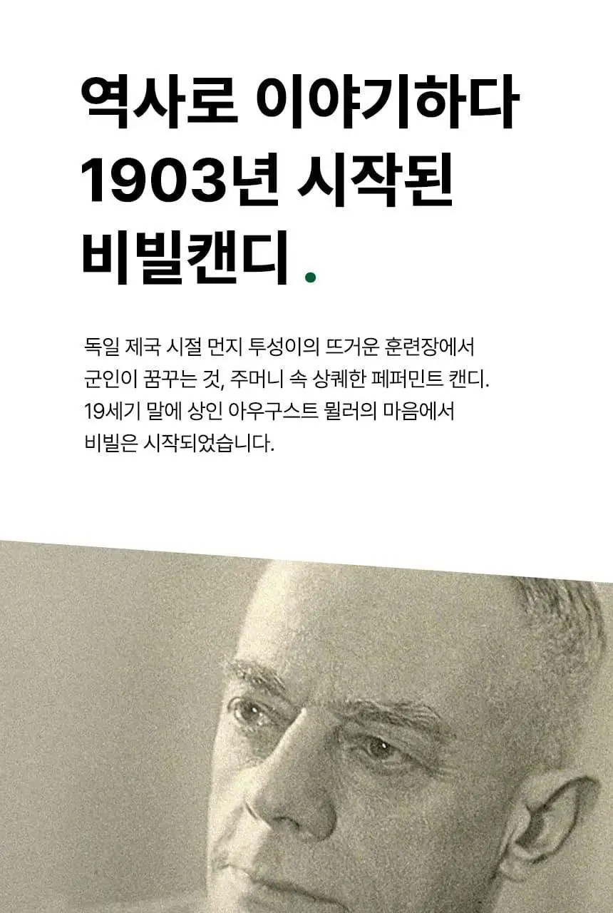 비빌 캔디 13종 택 1 상세페이지 3