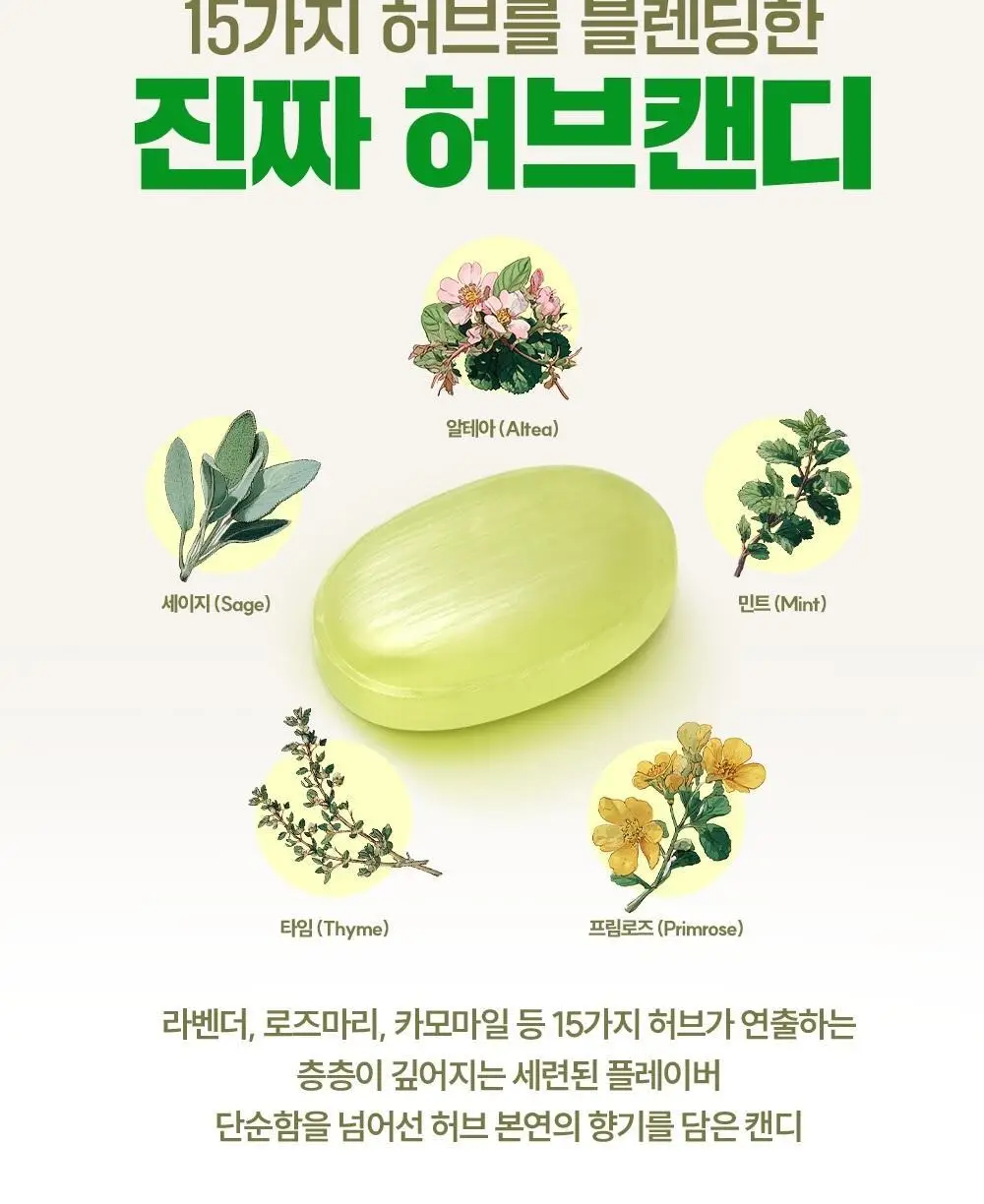 세라 슈가프리 캔디 5종 택1 상세페이지 3