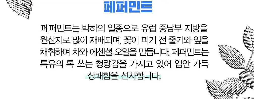 야미얼스 유기농 투와일드 드로프스 패밀리팩 368g 상세페이지 8