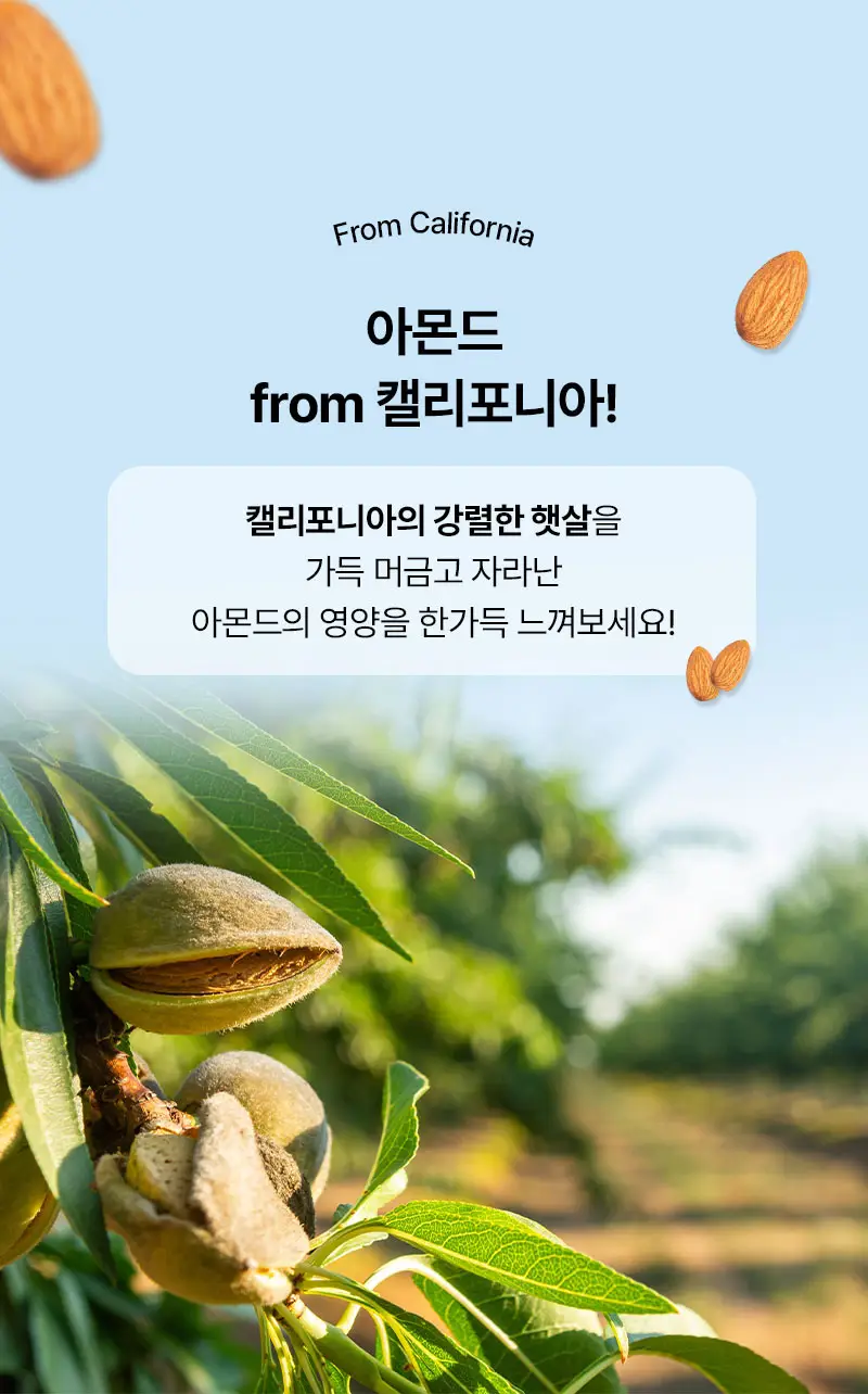 오다다 저당 아몬드 초콜릿 1개 + 오다다 티백 골라담기 상세페이지 22