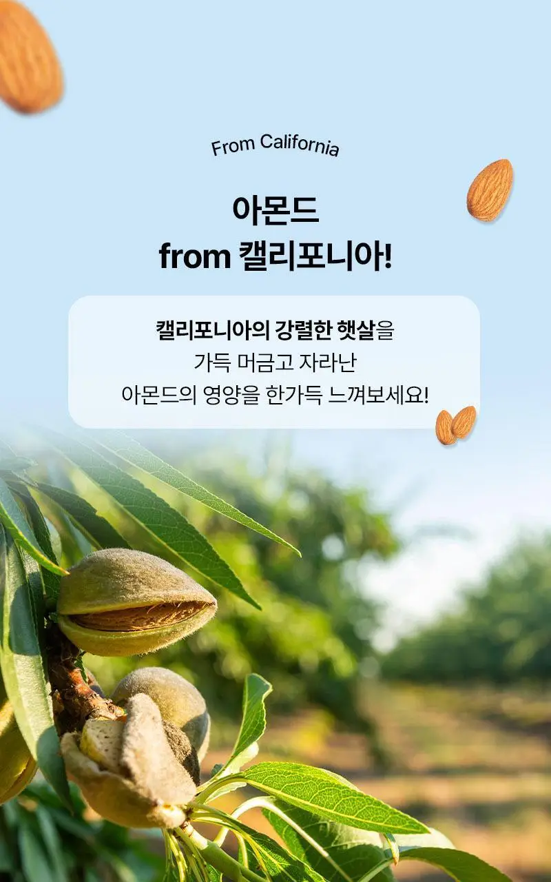 오다다 저당 아몬드 초콜릿(낱봉) 5개 상세페이지 39